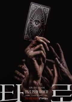 2024年韩国电视剧《塔罗牌》全07集 4K网盘迅雷下载