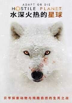 2019年美国纪录片《水深火热的星球》全6集 4K网盘迅雷下载