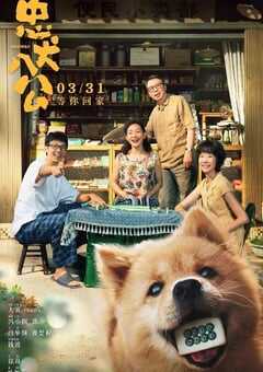 2023年国产7.8分剧情片《忠犬八公》BD国语中字 4K网盘迅雷下载