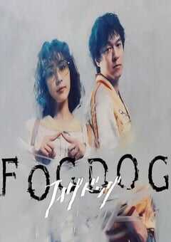 2025年日本电视剧《雾中之犬》全10集 4K网盘迅雷下载