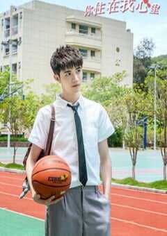 2023年国产大陆电视剧《你住在我心里》全12集 4K网盘迅雷下载