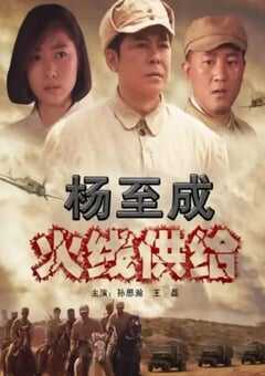 2010年国产经典战争片《杨至成火线供给》HD国语中字 4K网盘迅雷下载