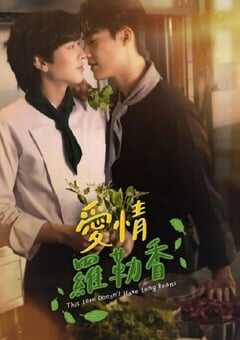 2024年泰国电视剧《爱情罗勒香》全8集 4K网盘迅雷下载