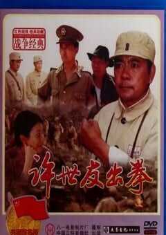 2003年国产经典战争片《许世友出拳》HD国语中字 4K网盘迅雷下载