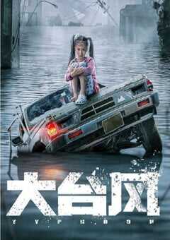 2022年国产动作片《大台风》HD国语中字 4K网盘迅雷下载