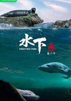 2024年国产大陆纪录片《水下中国 第二季》全6集 4K网盘迅雷下载