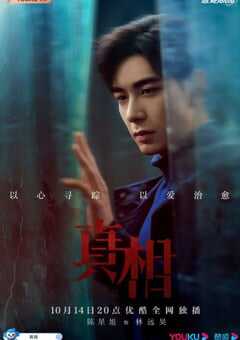 2021年国产大陆电视剧《真相》全32集 4K网盘迅雷下载