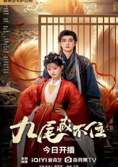 2026年国产大陆电视剧《九尾藏不住》全24集 4K网盘迅雷下载