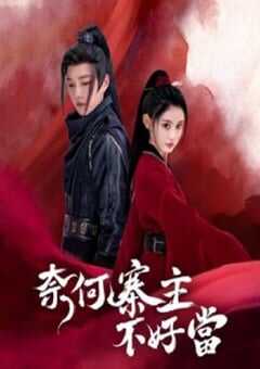 2023年国产大陆电视剧《奈何寨主不好当》全15集 4K网盘迅雷下载