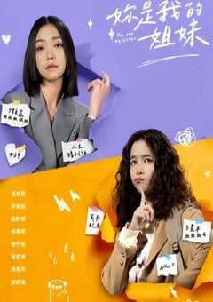 2024年中国台湾电视剧《妳是我的姐妹》全20集 4K网盘迅雷下载