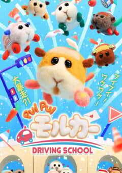 2022年日本动漫《天竺鼠车车 学车篇》全12集 4K网盘迅雷下载