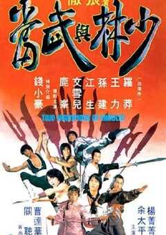 1980年中国香港经典动作片《少林与武当》蓝光国语中字 4K网盘迅雷下载