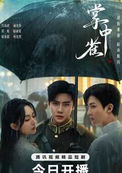 2025年国产大陆短剧《掌中雀》全24集 4K网盘迅雷下载