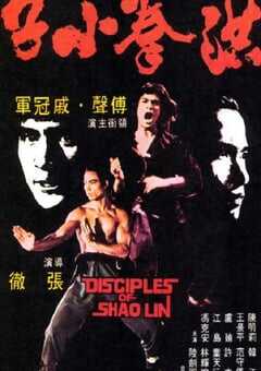 1975年中国香港经典动作片《洪拳小子》蓝光国语中字 4K网盘迅雷下载