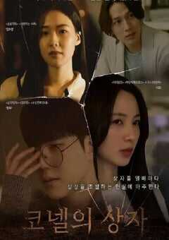 2024年韩国悬疑片《康奈尔之盒》HD韩语中字 4K网盘迅雷下载