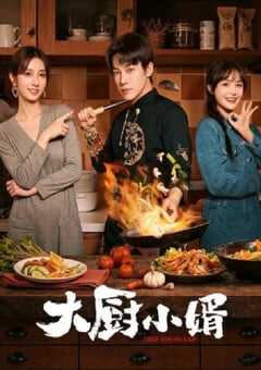 2025年国产大陆电视剧《大厨小婿》全24集 4K网盘迅雷下载
