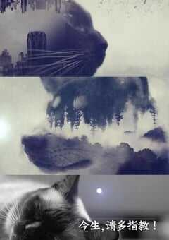 2022年国产大陆纪录片《今生，请多指教 第二季》全6集 4K网盘迅雷下载