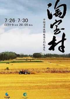 2019年国产大陆电视剧《淘宝村》全5集 4K网盘迅雷下载