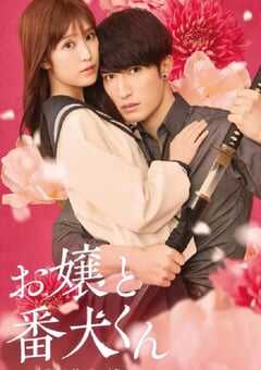 2025年日本喜剧爱情片《大小姐和看门犬》BD日语中字 4K网盘迅雷下载