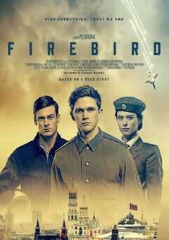 2021年英国7.7分历史战争片《浴火鸟》BD中英双字 4K网盘迅雷下载