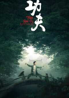 2023年国产大陆纪录片《功夫》全3集 4K网盘迅雷下载