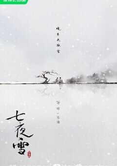 2024年国产大陆电视剧《七夜雪》全32集 4K网盘迅雷下载