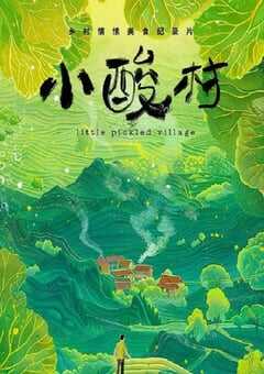 2024年国产大陆纪录片《小酸村》全12集 4K网盘迅雷下载