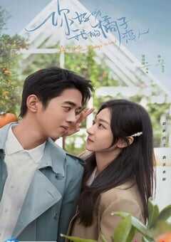 2022年国产大陆电视剧《你好呀，我的橘子恋人》全30集 4K网盘迅雷下载