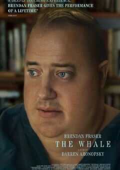 2022年美国8.1分剧情片《鲸》BD中英双字 4K网盘迅雷下载