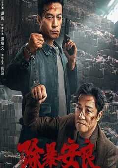 2024年国产动作犯罪片《除暴安良》HD国语中字 4K网盘迅雷下载