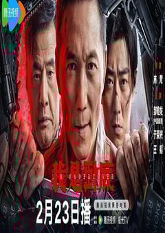 2026年国产动作片《我是卧底》HD国语中字 4K网盘迅雷下载