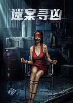 2024年国产悬疑片《迷案寻凶》HD国语中字 4K网盘迅雷下载