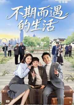 2025年国产大陆电视剧《不期而遇的生活》全35集 4K网盘迅雷下载