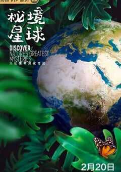 2020年国产大陆纪录片《秘境星球》全5集 4K网盘迅雷下载