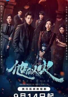 2024年国产大陆电视剧《他似火》全29集 4K网盘迅雷下载