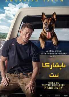 2022年美国6.7分喜剧片《忠犬》BD中英双字 4K网盘迅雷下载