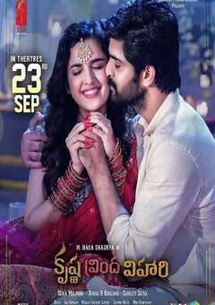 2022年印度喜剧爱情片《追爱谎言》BD中字 4K网盘迅雷下载