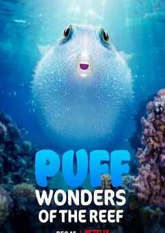 2021年澳大利亚纪录片《河豚之家：神奇的珊瑚礁》BD英语中字 4K网盘迅雷下载