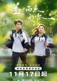 2025年国产大陆电视剧《逆时而来的你》全32集 4K网盘迅雷下载