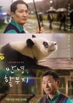 2024年韩国纪录片《再见，福宝》BD韩语中字 4K网盘迅雷下载