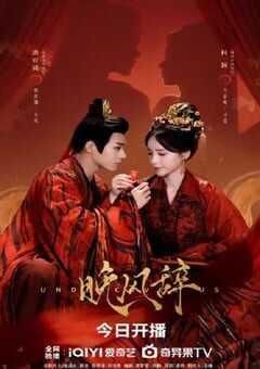 2026年国产大陆电视剧《晚风辞》全24集 4K网盘迅雷下载