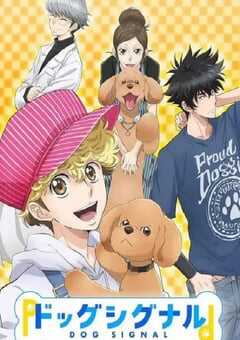 2023年日本动漫《爱犬指令》全20集 4K网盘迅雷下载