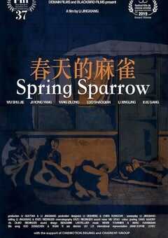 2019年国产剧情片《春天的麻雀》HD国语中字 4K网盘迅雷下载