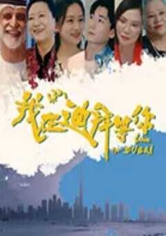 2025年国产大陆电视剧《我在迪拜等你》全24集 4K网盘迅雷下载