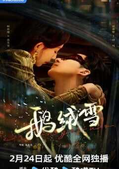 2025年国产大陆电视剧《鹅绒雪》全20集 4K网盘迅雷下载