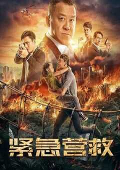 2021年国产动作犯罪片《紧急营救》HD国语中字 4K网盘迅雷下载