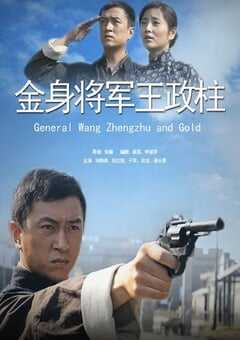 2013年国产经典战争片《金身将军王政柱平》HD国语中字 4K网盘迅雷下载