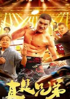 2024年国产动作片《真是兄弟》HD国语中字 4K网盘迅雷下载