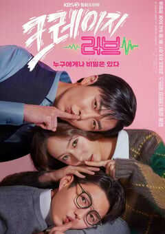 2022年韩国电视剧《疯狂爱情》全16集 4K网盘迅雷下载