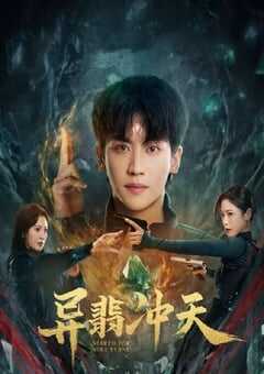 2025年国产大陆电视剧《异翡冲天》全22集 4K网盘迅雷下载